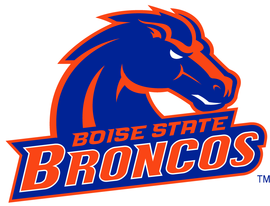 Boise State Broncos 2002-2012 Secondary Logo v20 iron on transfers for T-shirts